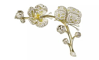 珠光下的動物奇趣王國 戴上動物，更添時尚魅力