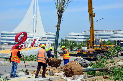 濱海區加速項目建設，全力打造精品工程